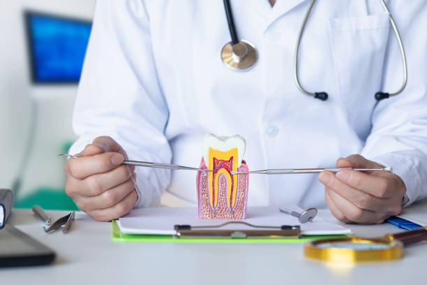 Best Emergency Dental Extractions in Quarryville, PA
